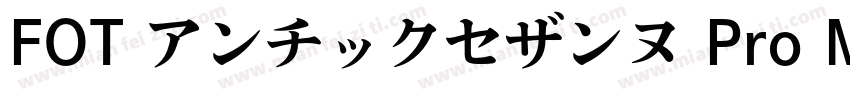 FOT アンチックセザンヌ Pro M Regular字体转换